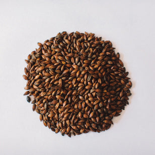 Voyager Brown Malt 1kg