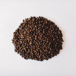 Voyager Chocolate Malt 1kg