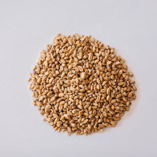 Voyager Winter Wheat 1kg