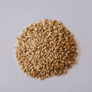 Voyager Chit Malt (CaraPils Sub)1kg