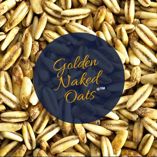 Simpsons Golden Naked Oats 1kg